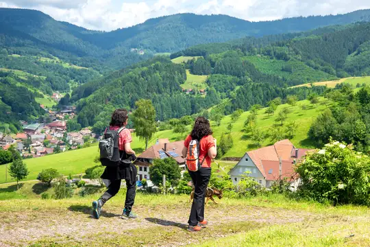 Wandern