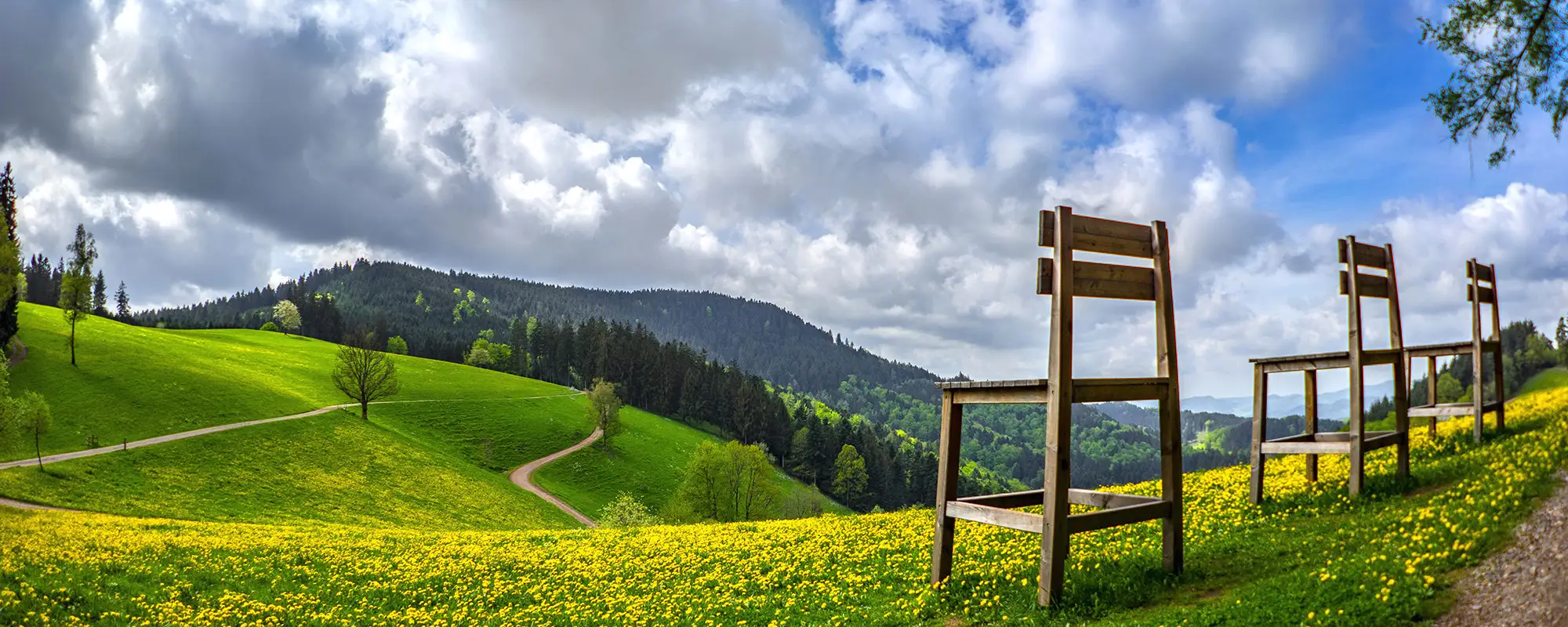 Mittlerer Schwarzwald - Ferienlandschaft Gengenbach und Hamersbachtal