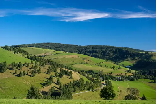Sommer auf der Trubelsmatt