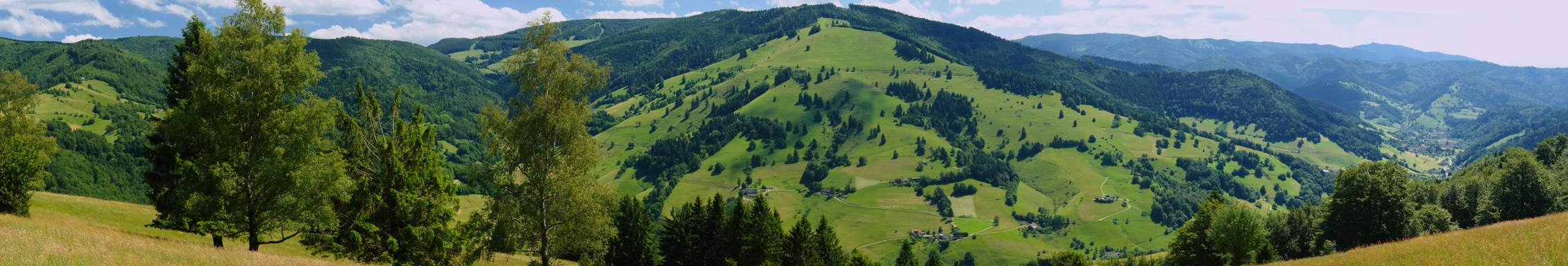 Ferienregion Münstertal Staufen