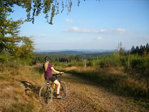 Fahrradtour im  Natur-Erlebnisgebiet Biggesee-Listersee