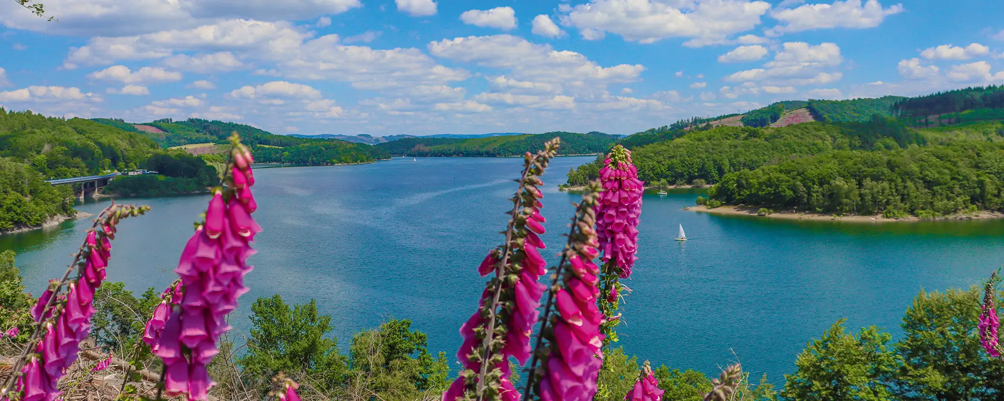 Biggesee-Listersee – Natur-Erlebnisgebiet
