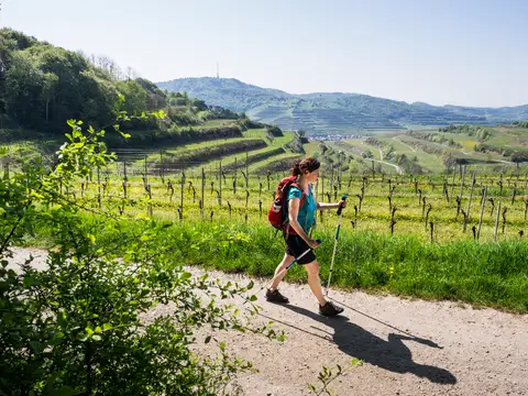 Frühjahr Wandern