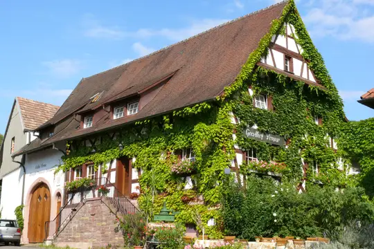 Gasthof Sonne Amoltern