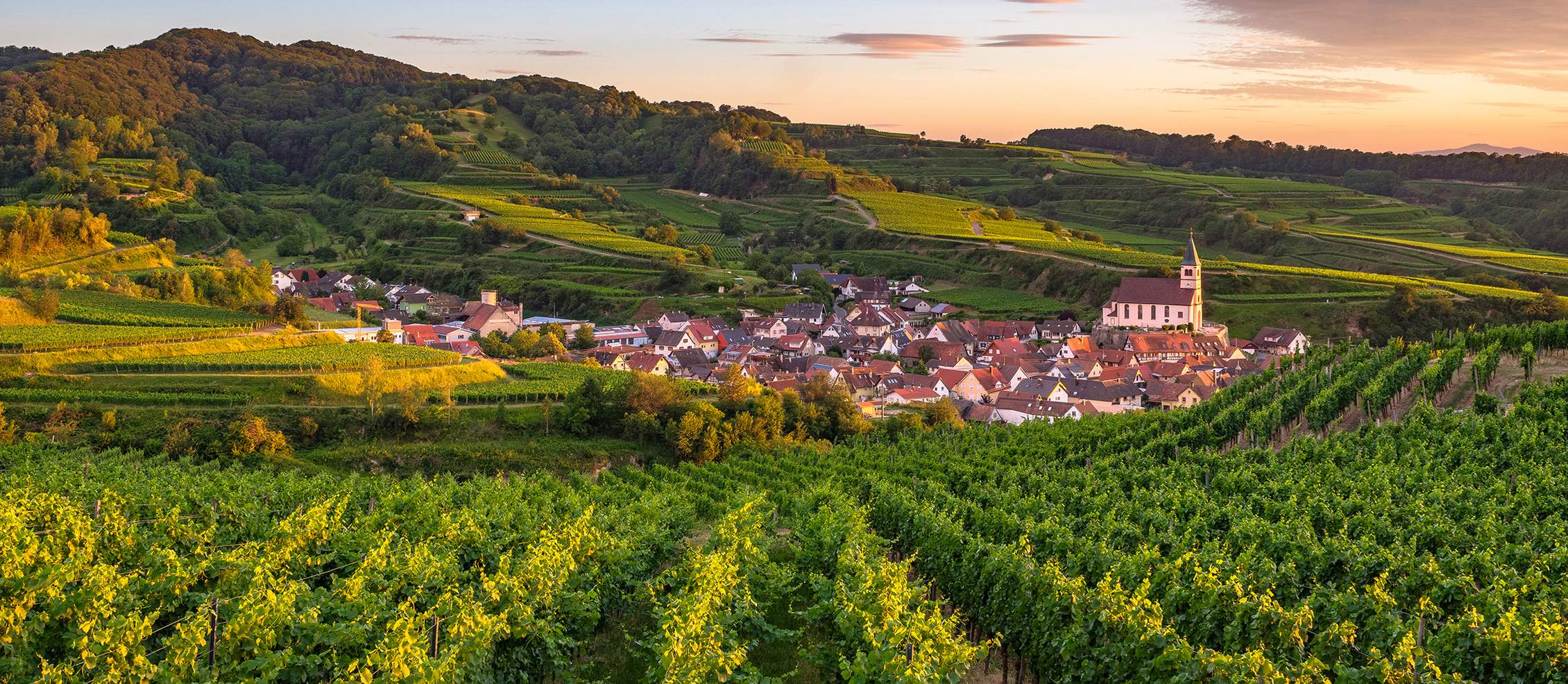 Naturgarten Kaiserstuhl - Ein Paradies für Genießer