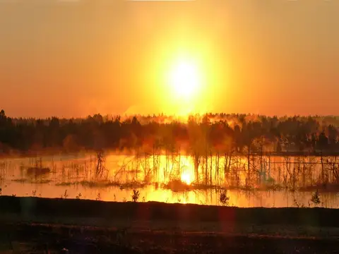 Bad Feilnbach - Sonnenaufgang im Moor