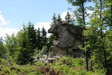 Zipfeltannenfelsen