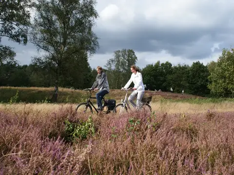 Radeln durch die Glaner Heide