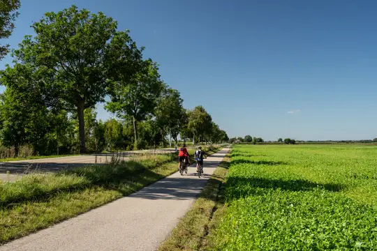 Radeln im Donaumoos