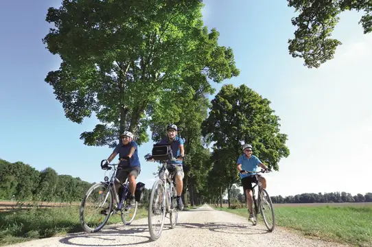Auf dem Donauradweg