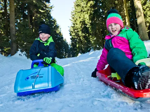 Schlittenfahren