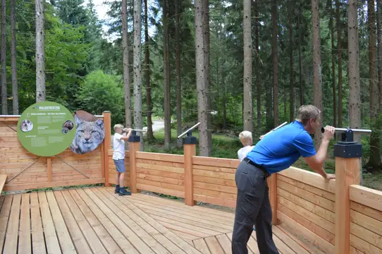 Erlebnispfad „Waldstreifzug am Fuße des Dreisesselberges“