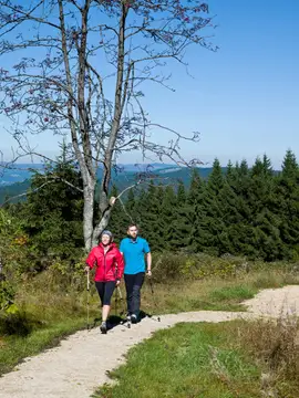 Nordic Walking