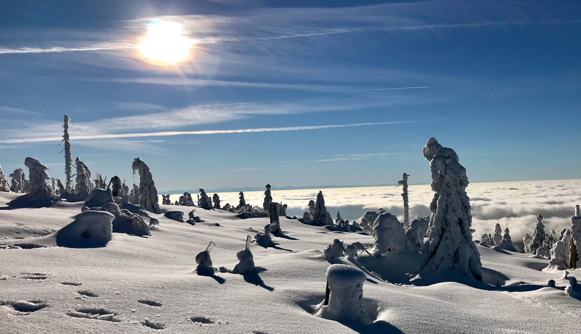 Neureichenau – Dreiländereck Bayerischer Wald