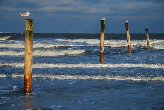 Dalben mit Möwen drauf und Meer