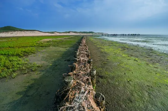 Amrum Lahnung - Weltnaturerbe Wattenmeer