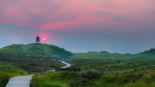 Amrum Quermarkenfeuer Bohlenweg