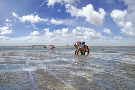 Wattwagen nach Neuwerk