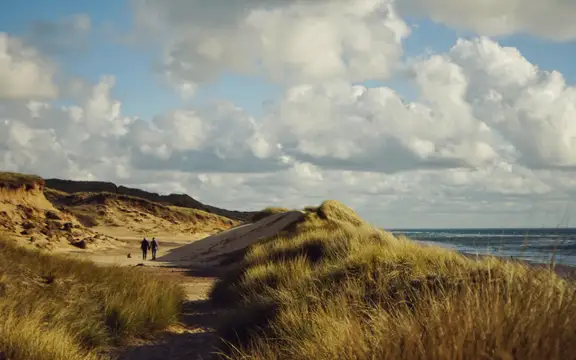 Dünenspaziergang
