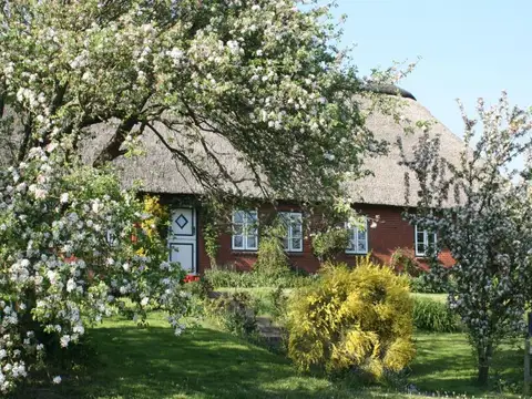 Urlaub unter Reet - Nordseeküste Nordfriesland