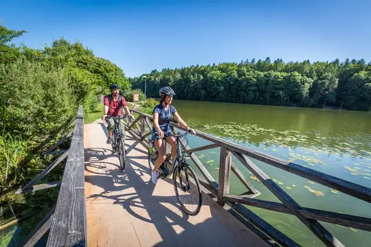 Radeln am Wasser ist im Oberpfälzer Seenland garantiert
