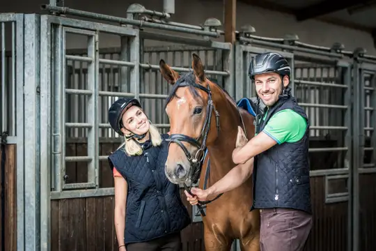 Auf dem Rücken der Pferde das Oberpfälzer Seenland entdecken