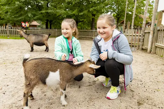 Streichelgehege im Wildpark Schwarzach
