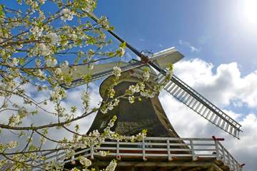 Mühle im Frühling-Ostfriesland