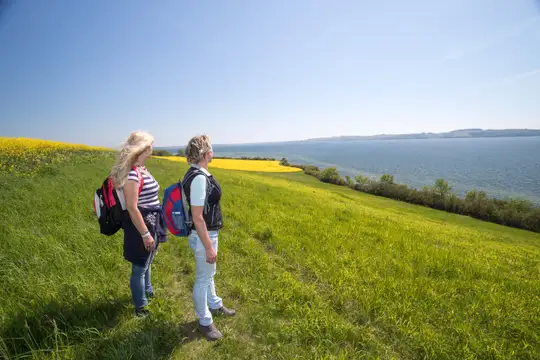 Auf einer Wanderung intensiv die Schönheit der Rügener Natur erleben