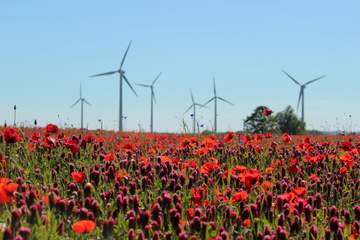 Natur und endlose Weiten warten im Achterland