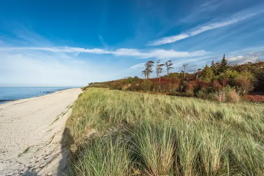 Strand, Düne und Küstenwald