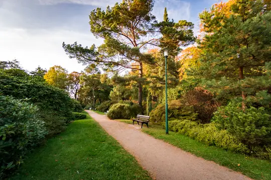 Weg durch den Park