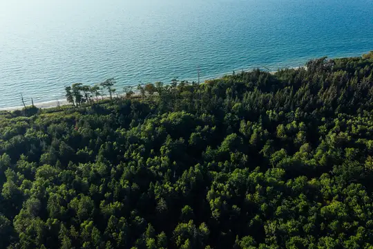 Die Rostocker Heide an der Mecklenburgischen Ostseeküste