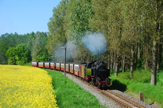 Küstenwald vor Graal-Müritz