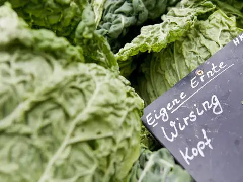 Nordseebad Otterndorf - Wochenmarkt