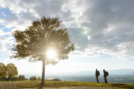 Heilige Landschaft Pfaffenwinkel 