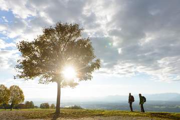 Heilige Landschaft Pfaffenwinkel 