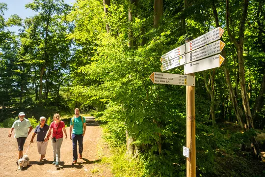 Wanderung im Wiehengebirge