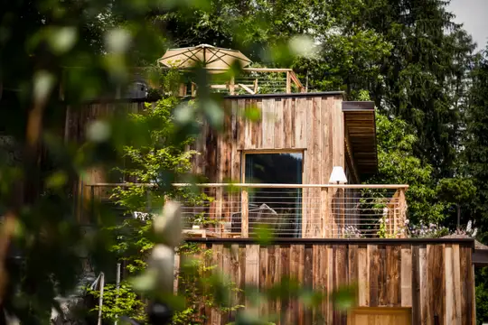 Wald Chalet - exklusive Suiten und Chalets