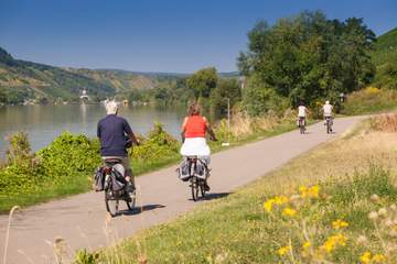 Moselradweg zwischen Detzem und Mehring