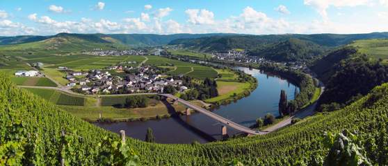 Blick von Thörnicher Ritsch auf Thörnich