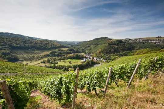 Sommerau – Leuchtpunkt der Artenvielfalt 2019