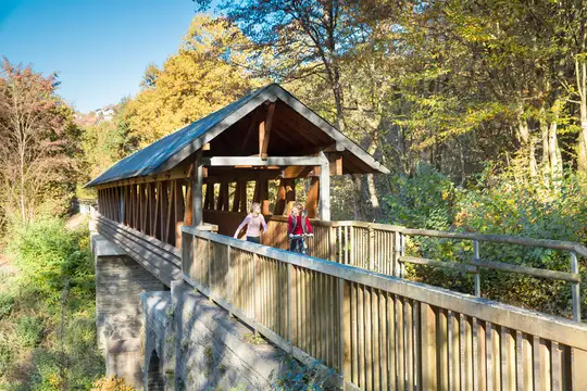 Ruwer-Hochwald-Radweg auf einer ehemaligen Bahntrasse