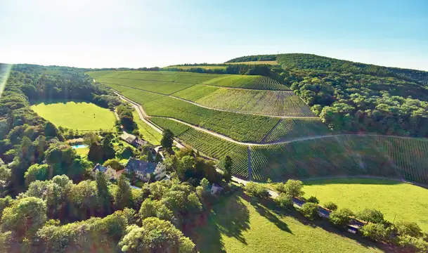Renommierte Weingüter und herausragende Weinarchitektur