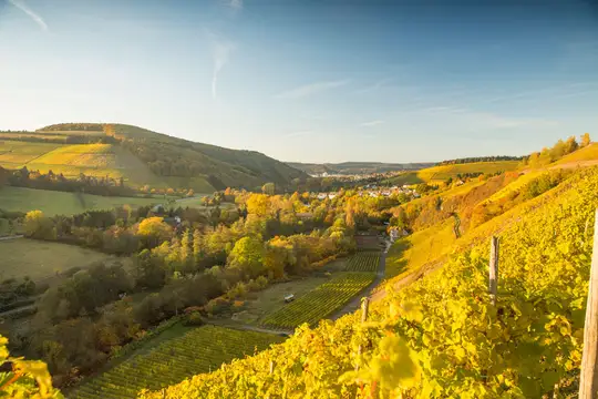 Ruwertal im Herbst – Weitsichten bis ins Moseltal