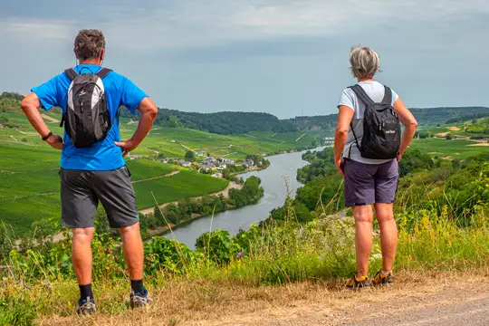 Auf dem Moselsteig in Wincheringen an der Obermosel