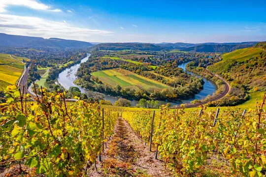 Naturschutzgebiet Wiltinger Saarbogen