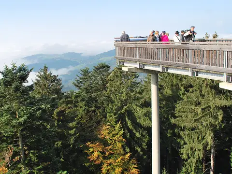 WaldWipfelWeg