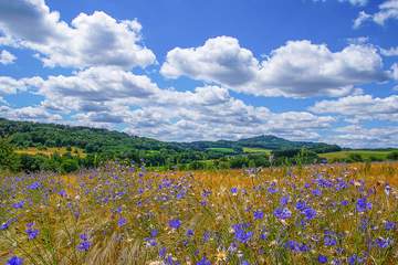 Im Naturpark Saar-Hunsrück