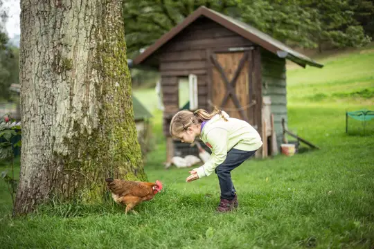 Kindheitsträumen begegnen – Kinderferien im Schmallenberger Sauerland sind abwechslungsreich, abenteuerlich und garantiert anders!